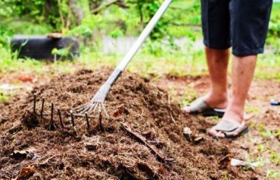 干雞糞多少錢一噸，發酵后雞糞有機肥的優點