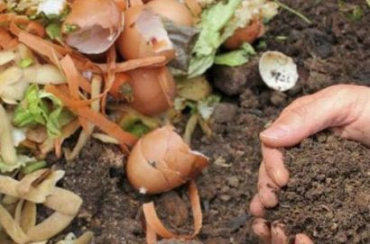 養(yǎng)花人發(fā)酵做有機肥的方法有哪些？