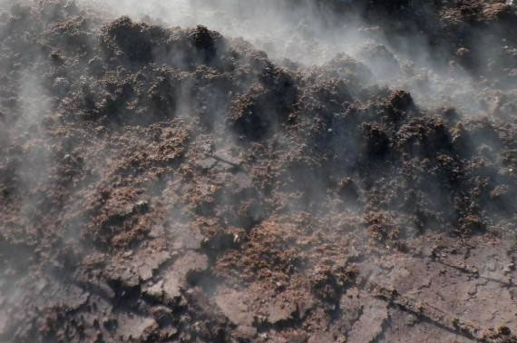 豬糞有機肥如何發酵？