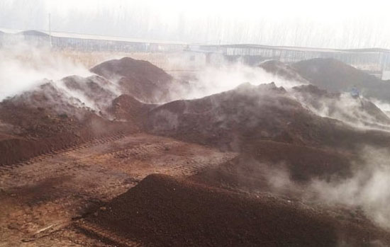 怎么判斷羊糞是否發(fā)酵腐熟有哪些優(yōu)點