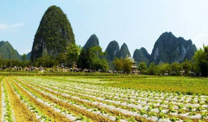 牛糞發(fā)酵制作有機肥詳細流程