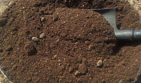 怎么自制羊糞有機肥