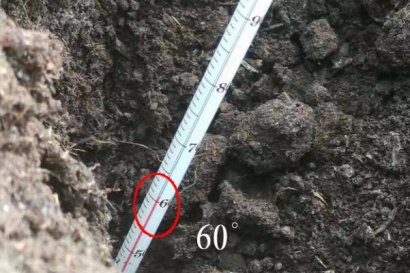 羊糞堆肥多長(zhǎng)時(shí)間腐熟?