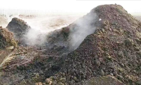 生物菌發酵羊糞有什么好處