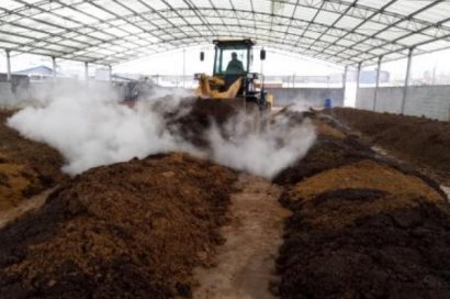 怎么判斷羊糞徹底腐熟了？