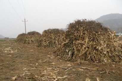 怎么用秸稈做成有機肥料？