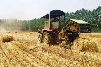 秸稈是直接還田還是有其它用途？