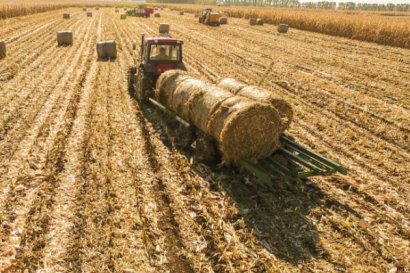 秸稈如何使用發酵菌劑制作有機肥？