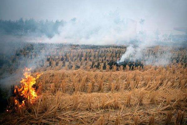 秸稈焚燒對環(huán)境的危害