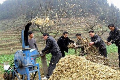 秸稈如何加工？加工后賺錢嗎？