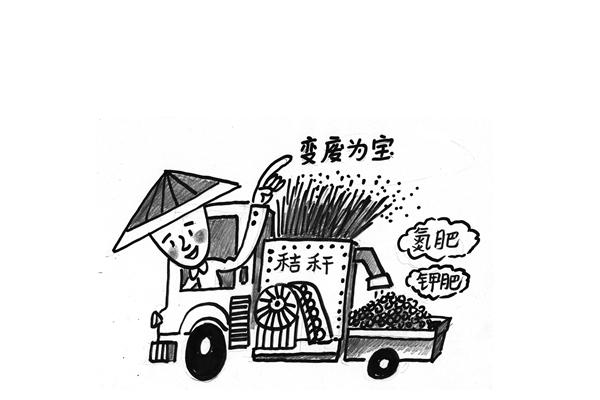 秸稈飼料營(yíng)養(yǎng)成分