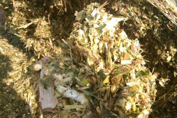 秸稈飼料加工技術