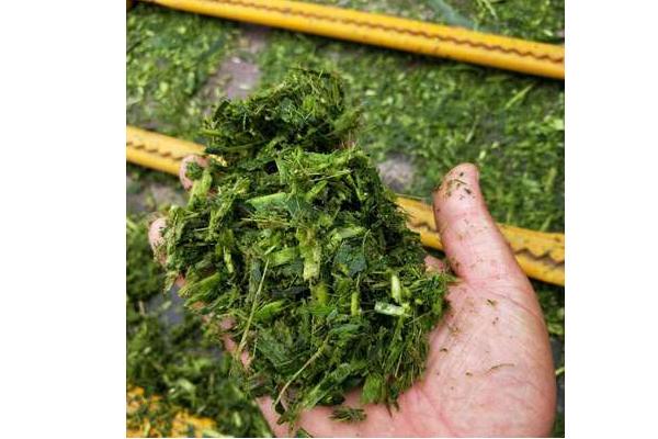 秸稈飼料有什么特點