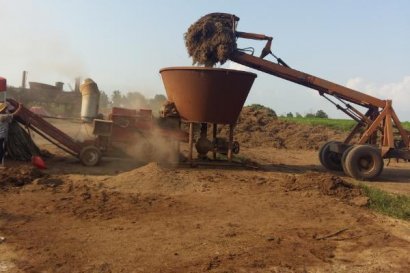 怎么制作優質秸稈飼料？