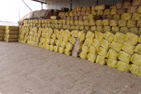 玉米秸稈黃貯飼料怎么加工