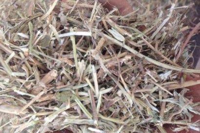 玉米秸稈草粉飼料怎么加工？