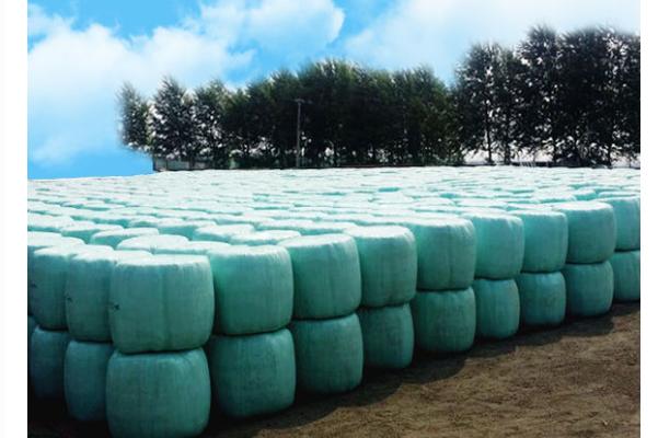 玉米秸稈膨化飼料怎么加工