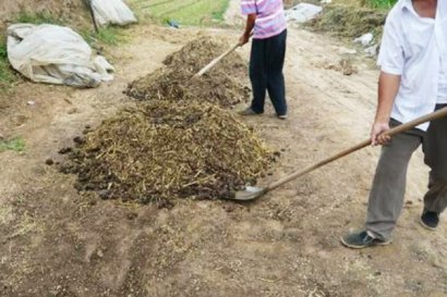 豬糞有機(jī)肥如何使用？