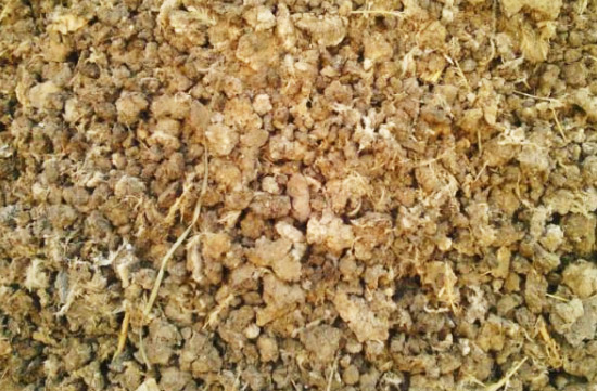 雞糞發酵有機肥的制作方法