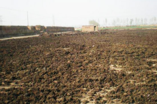 豬糞發酵有機肥的制作方法