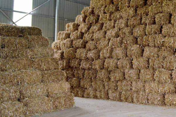 高粱秸稈利用價值