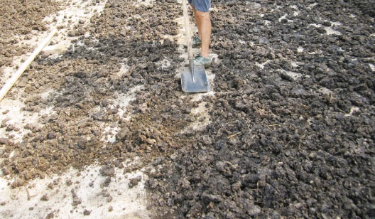 怎么使用干燥的方法制作雞糞有機肥