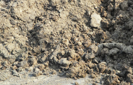 冬季如何發(fā)酵雞糞制作有機(jī)肥料的方法