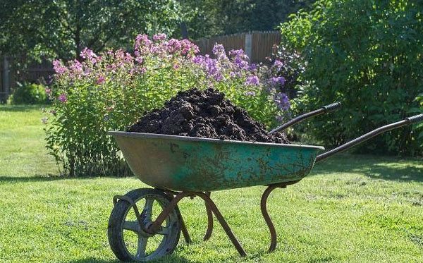 發(fā)酵豬糞制作有機(jī)肥過程與常見問題