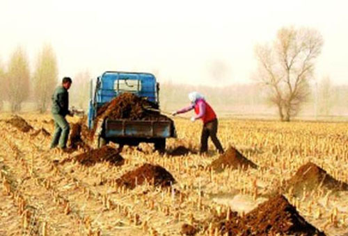 未來(lái)我國(guó)在豬糞利用方面的趨勢(shì)是什么？