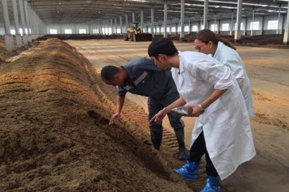 雞糞堆肥發(fā)酵制作有機肥的方法及注意事項