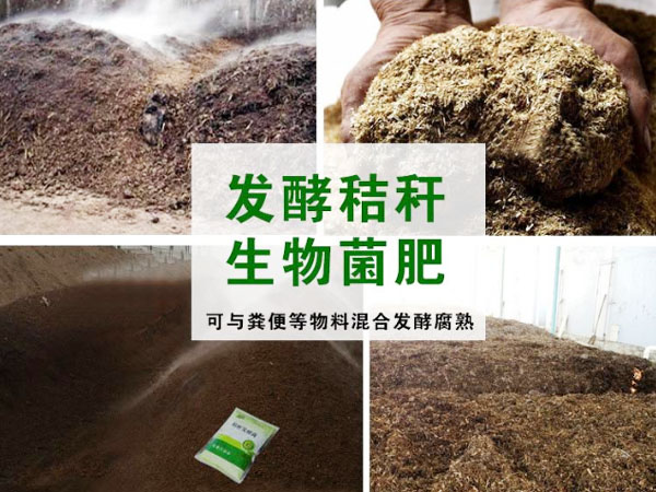 小麥秸稈發(fā)酵制作有機(jī)肥的方法