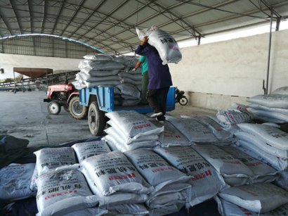 有機肥發(fā)展前景