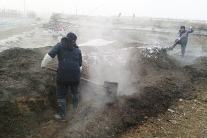 哪些因素會影響有機肥發酵？