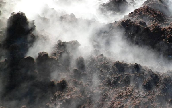 哪些因素會(huì)影響有機(jī)肥發(fā)酵？