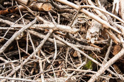 枯枝落葉發酵有機肥的方法