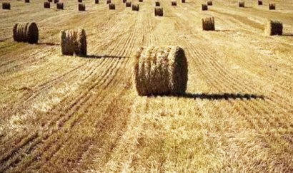 秸稈加工有機(jī)肥的關(guān)健技術(shù)