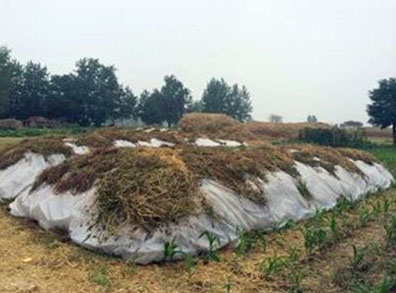 冬季堆肥發酵需要注意哪些？