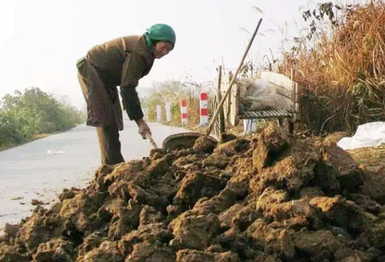 牛糞堆肥發(fā)酵制作有機(jī)肥的方法，需要經(jīng)歷幾個階段？