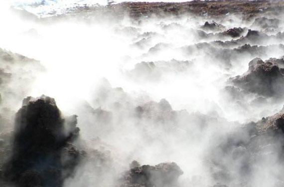 豬糞堆肥發酵生產有機肥需要經過幾個階段？