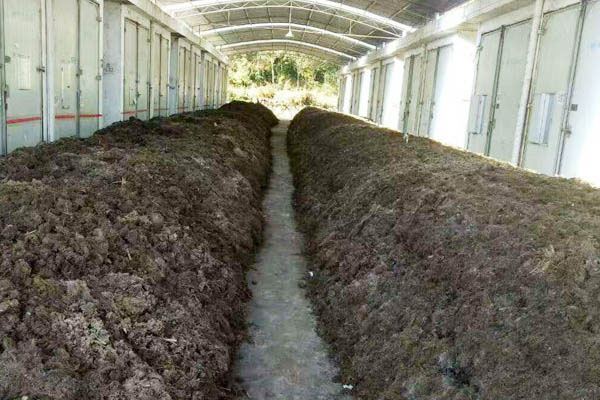雞糞堆肥發酵有機肥料技術！